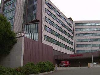 Mold Linked to a Seventh Death at Seattle’s Children Hospital