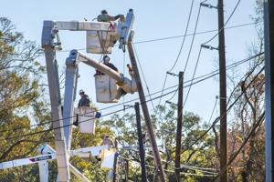 Ida lets utilities confirm guidance for power outages; trees can have big impact on grid