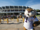 LSU, Mike the Tiger to feature in new scripted film