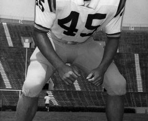LSU book excerpt: 'The strongest linebacker,' Mike Anderson became an all-time LSU great