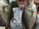 Saturday's bass tournament honors military | Sports