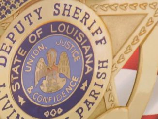 Shots fired overnight in Livingston could be connected to Baton Rouge victims