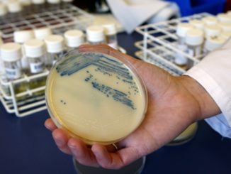 Superbug infections, deaths rose at beginning of pandemic