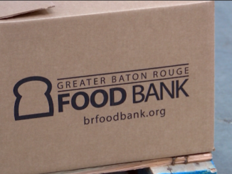 Upcoming food distributions in the GBR area