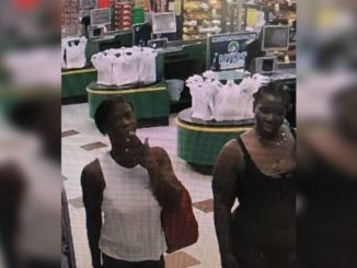 Woman accused of stealing meat and detergent from grocery store in Louisiana