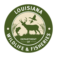 Brusly man cited for taking clients on charter fishing trips without licensing, LDWF says