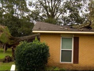 Homeowners who lost insurance bracing for impact as hurricane season ramps up