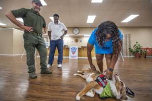 Trauma, PTSD survivor picks up emotional support service dog trained by inmate at Angola