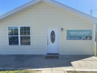 New cat rescue center opens in Gonzales