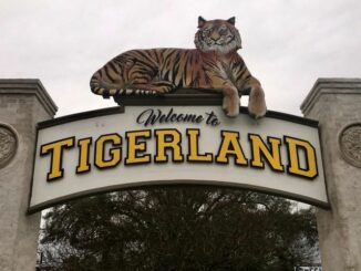 Official compares Tigerland to 'gates of hell' after death triggers investigation into underage drinking
