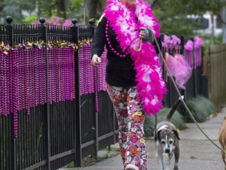 The Spanish Town parade heralds pandemonium, pink flamingos and donations to local charities.