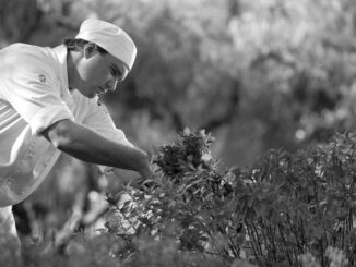 A chef in an herb garden - Source Accor