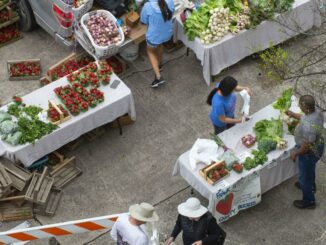 BREADA reopening fresh produce markets to gear up for the bounty of a Louisiana spring