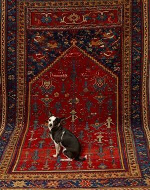 Expert tips can help you gauge the quality of an Oriental rug, but loving it is the most important thing