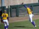 LSU softball to have a non-conference weekend in Purple and Gold Challenge