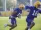 LSU spring football: Here are all the newcomers and departures from last year's team