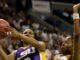 LSU women's basketball alums delight in Tigers' return to this year's Women's Final Four
