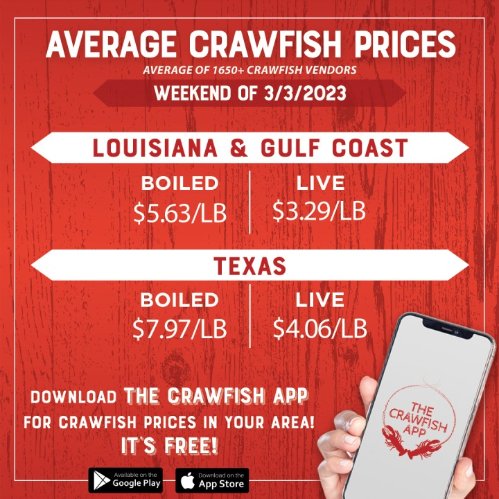 Louisiana crawfish prices, live and boiled, drop Scoop Tour