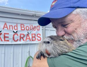 Neuty, the controversial pet nutria, allowed to stay with Bucktown family