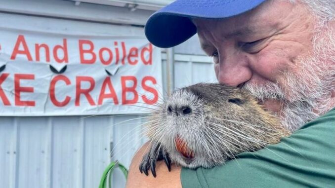 Pet nutria seized from its owners after finding internet fame, will be moved to Baton Rouge Zoo