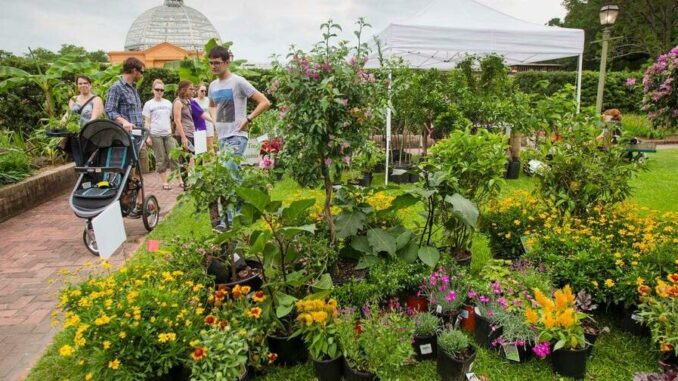 Plants, products and expert advice: City Park Spring Garden Show is blooming with possibilities