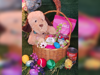 Rescue Alliance to host a pet Easter basket drive