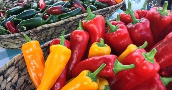 The answer is no, and yes: Can a sweet pepper plant produce hot peppers? A lesson on cross pollinating.