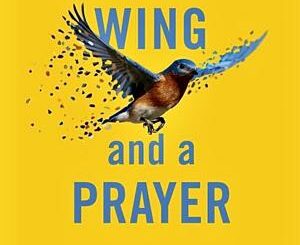 'A Wing and a Prayer' sounds the alarm while offering hope in the battle to save disappearing birds
