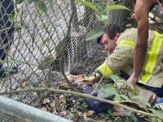 Firefighters in Baton Rouge unite to rescue trapped dog