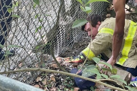 Firefighters in Baton Rouge unite to rescue trapped dog