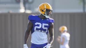 LSU spring football practice Day 8 observations: Safeties without one important player
