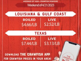 Live, boiled Louisiana crawfish prices drop by about .25 cents per pound