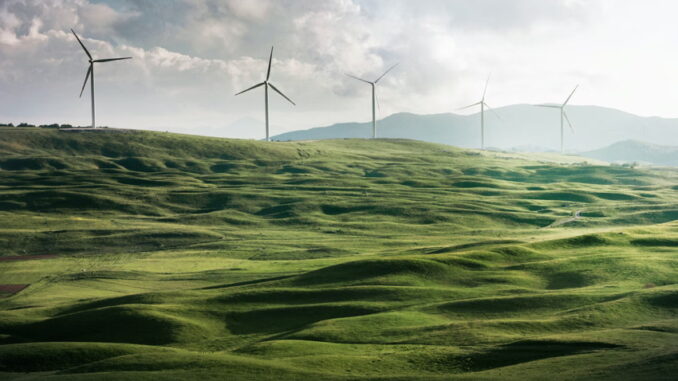 A wind farm - Unsplash