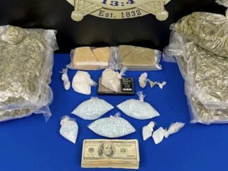 Over 4,000 lethal fentanyl doses seized in Livingston Parish drug bust