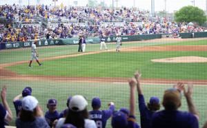 Report: Game three of LSU's baseball series at South Carolina has been cancelled