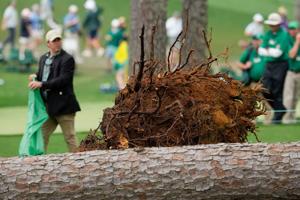 Scott Rabalais: Augusta National's famous trees fall in scary, unforgettable scene