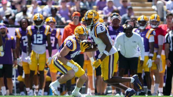 Springing into stardom: How these LSU players made a big impression in the spring game