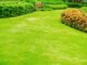 Start To Finish: How To Grow The Perfect Lawn