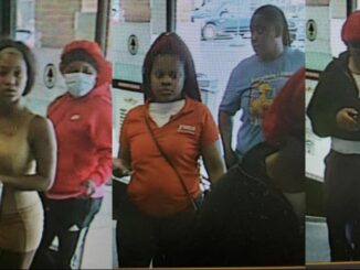 Women tried to steal carts full of alcohol at Total Wine, pepper sprayed employees on their way out