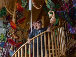 You've seen the 'Art House Treehouse' on Dalrymple. Here's what it looks like inside.