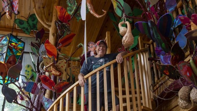 You've seen the 'Art House Treehouse' on Dalrymple. Here's what it looks like inside.