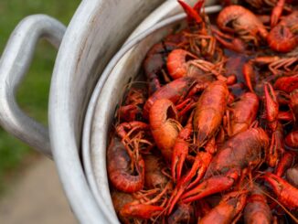 Annual Crawfish King Cook-Off raises funds for youth mentoring activities