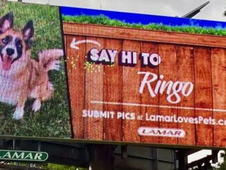 Billboard stars: Local pets get their '15 minutes' on Lamar Advertising displays for Pet Month