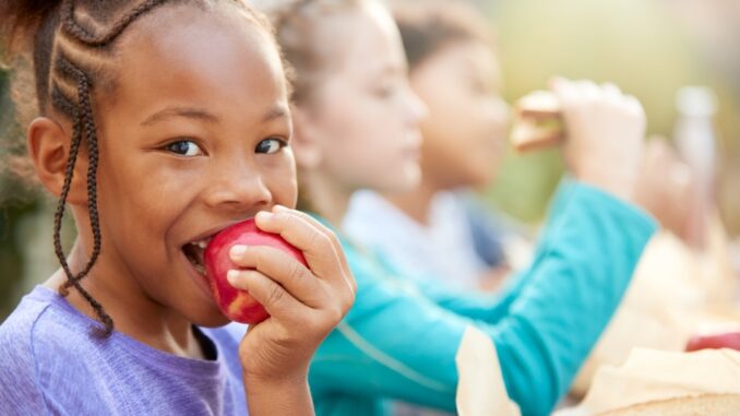 Diocese of Baton Rouge Child Nutrition Program to provide free summer meals for kids