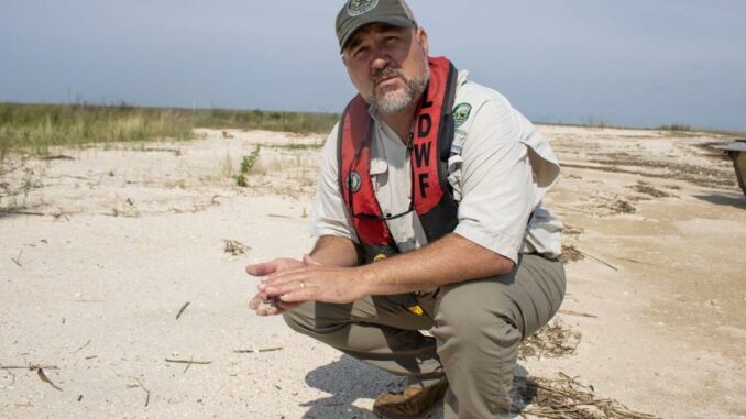 He saw the coastline he grew up on disappearing. Now, he dedicates his life to restoring it.