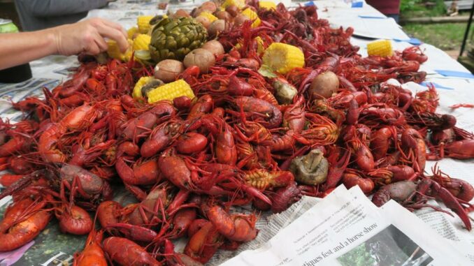Ian McNulty: As crawfish season slows, raise one up for this invaluable gift they give us