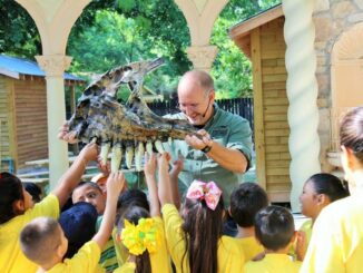 Love dinosaurs? Check out this free Tuesday, June 6 exhibit in Port Allen