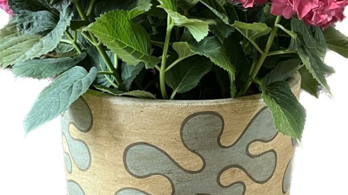 Love in bloom: Plants in pots make great gifts for Mom on her day