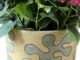 Love in bloom: Plants in pots make great gifts for Mom on her day