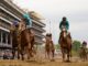 Mage crosses finish 1st in Kentucky Derby amid 7th death